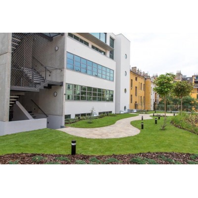 Zelené střechy ploché