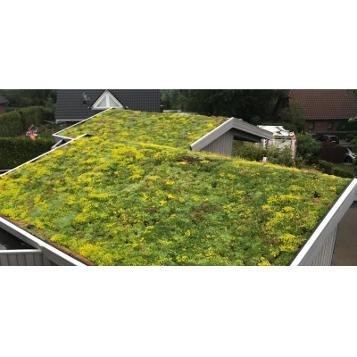 Zelené střechy šikmé